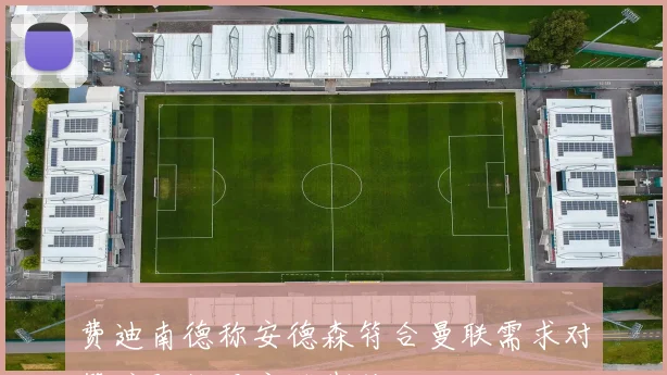 费迪南德称安德森符合曼联需求对签琼阿梅尼充满期待